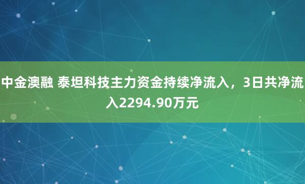 中金澳融 泰坦科技主力资金持续净流入，3日共净流入2294.90万元