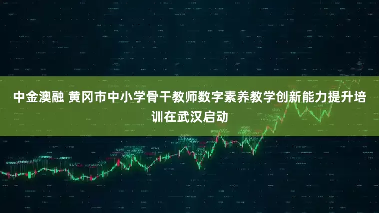 中金澳融 黄冈市中小学骨干教师数字素养教学创新能力提升培训在武汉启动